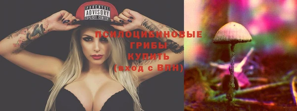 хмурый Алзамай