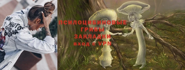 хмурый Алзамай